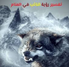 تفسير حلم الذئب إقرأ حلم عضة الذئب الذئاب تهاجم حلم الذئب للحامل