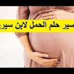تفسير حلم رؤية الحمل في المنام لابن سيرين بالتفصيل
