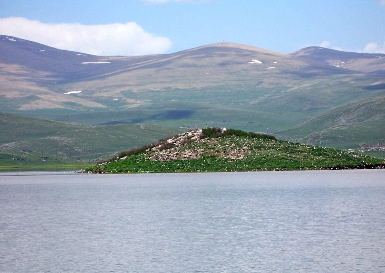 بحيرة أربي - السياحة في ارمينيا