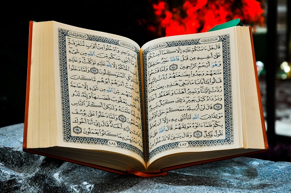  صور القرآن6