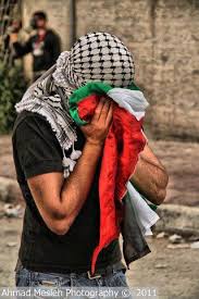 Résultat de recherche d'images pour "فلسطين الجريحة."