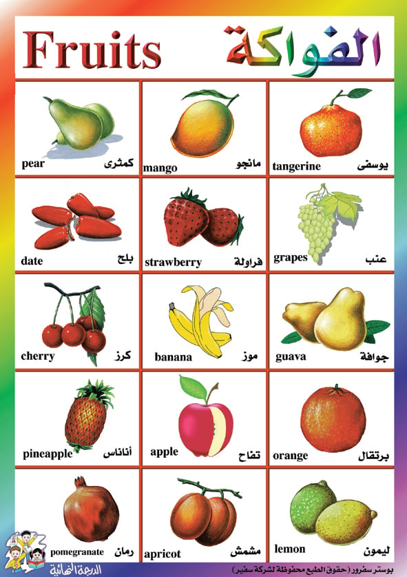 أشكال الخضروات للاطفال 3