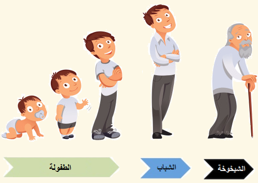أسماء مراحل الإنسان العمرية مراحل نمو الانسان بالصور للاطفال 4
