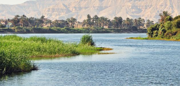معلومات عن نهر النيل2