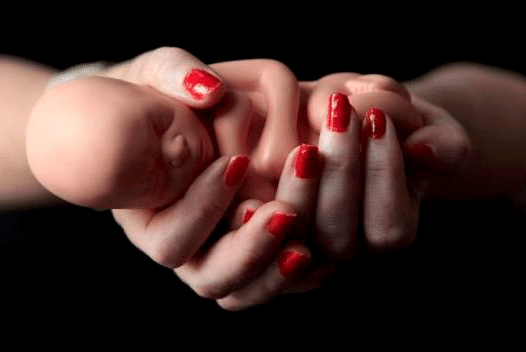 زيت الزيتون للإجهاض ١