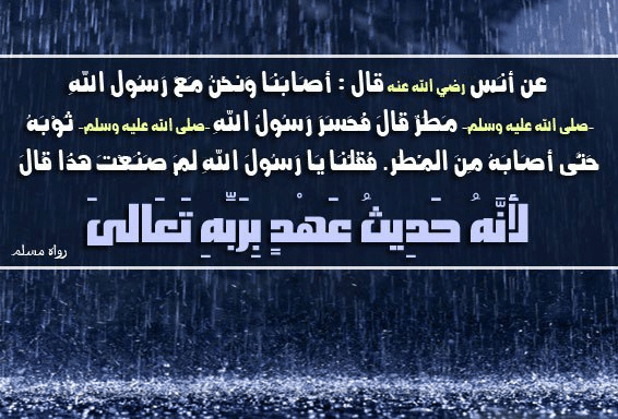 دعاء في المطر إقرأ نقدم لكم أفضل د عاء في المطر تويتر دعاء المطر قصير دعاء المطر للحبيب