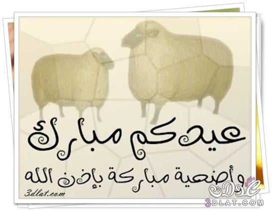 بطاقات تهنئة عيد الاضحى المبارك ١