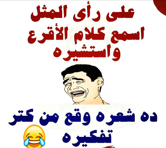 كلام مضحك جدا مصري