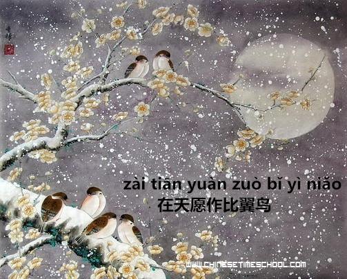 كلمات صينية عن الحب مترجمة
