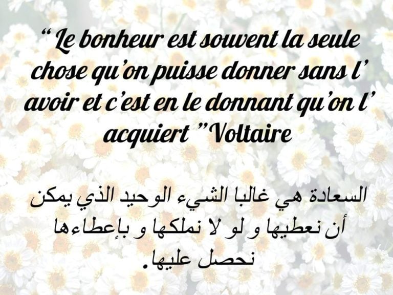 كلام جميل بالفرنسية مترجم بالعربية