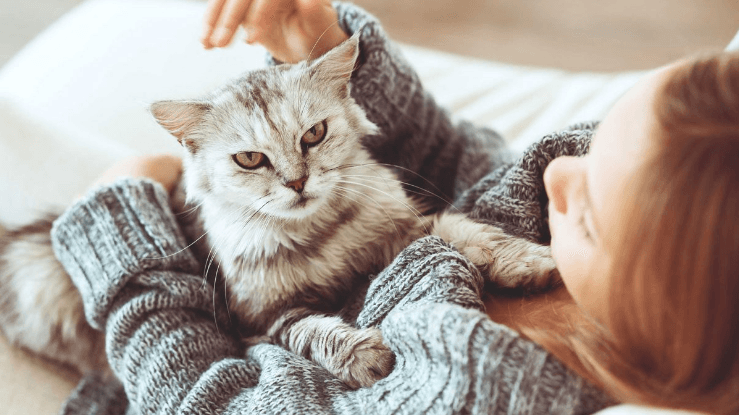 تجارب الحوامل مع داء القطط