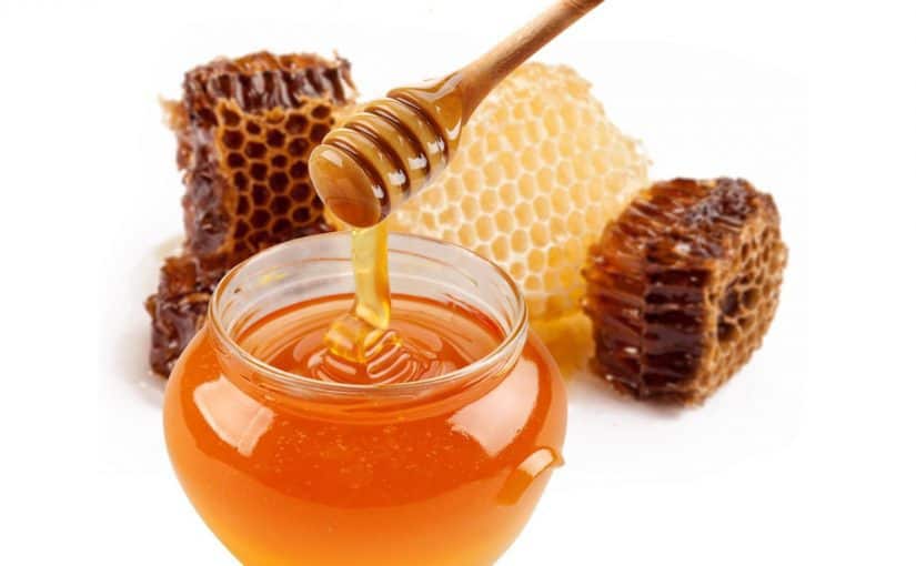 تجارب العسل للحمل