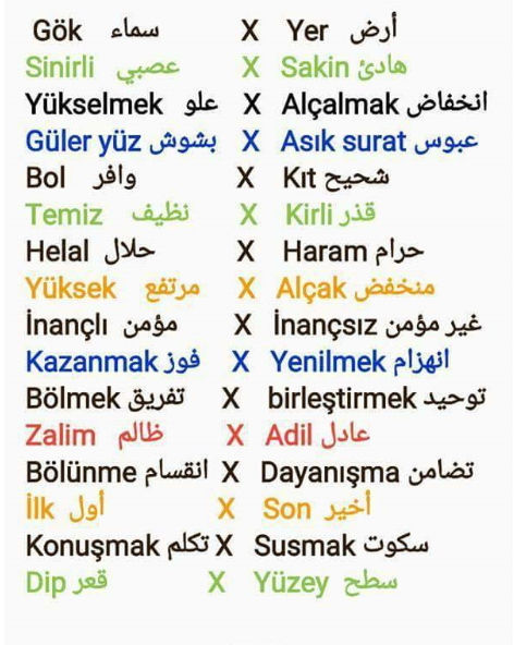 كلمات عامية باللغة التركية 
