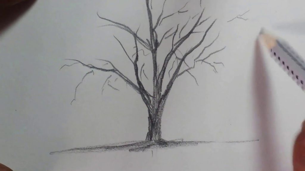 رسم شجرة 2