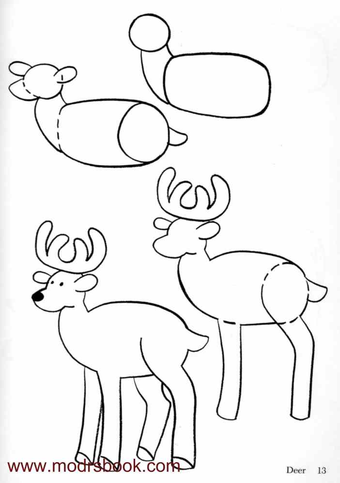 رسم غزال للاطفال 3