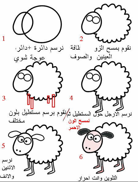 رسمة خروف عيد الأضحي 2