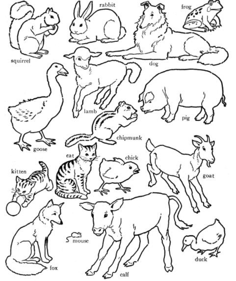 رسومات اطفال للتلوين حيوانات 5