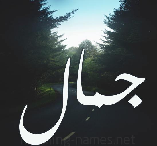 اسم جمال بالخط العربي4
