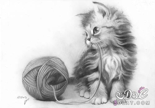 رسومات قطط كيوت 2
