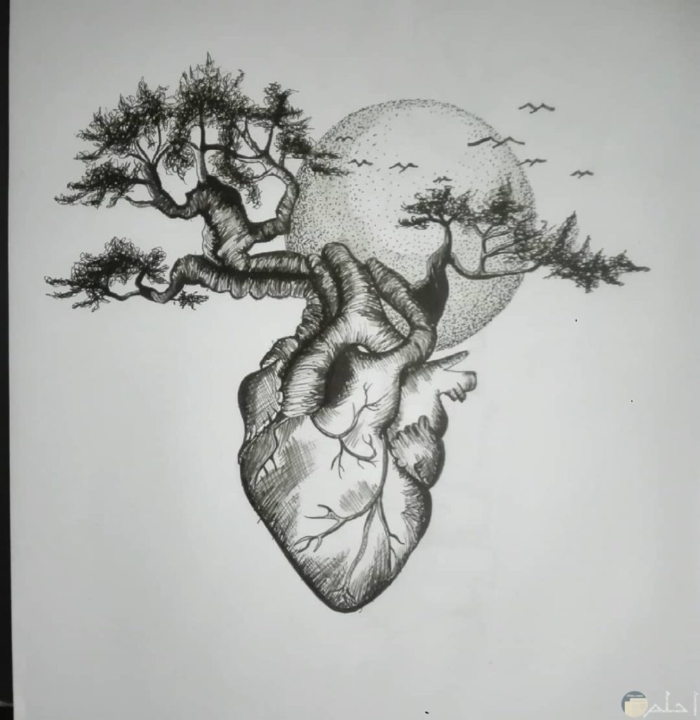  رسومات قلوب بالرصاص 4