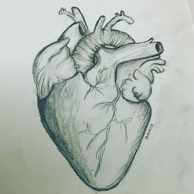 رسومات قلوب بالرصاص 2