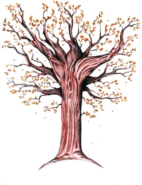 رسم شجرة الخريف 3