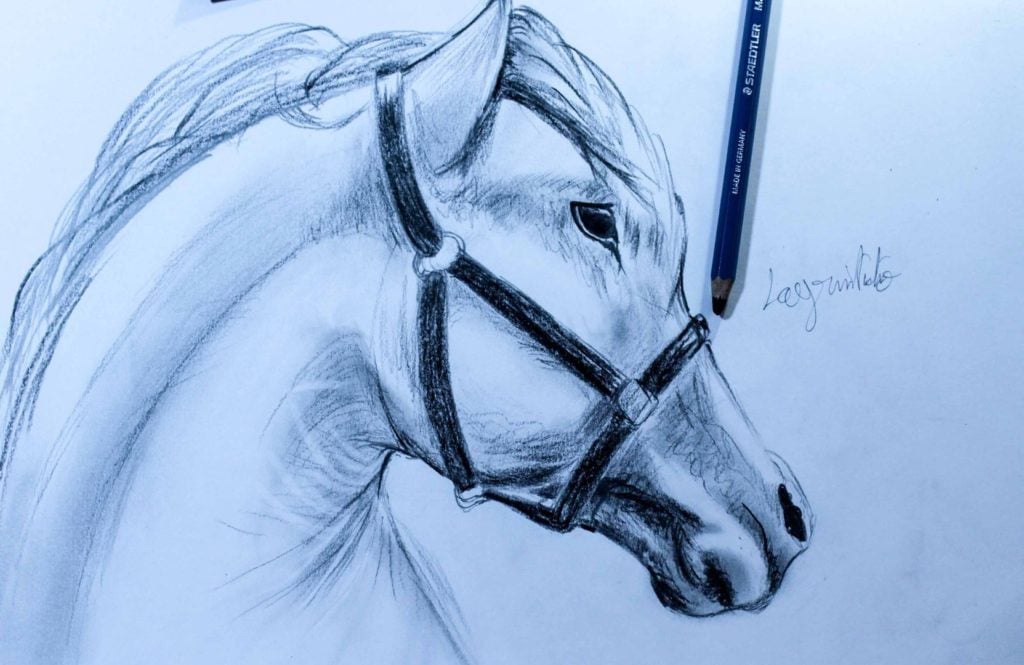 رسم حصان ثلاثي الأبعاد 2