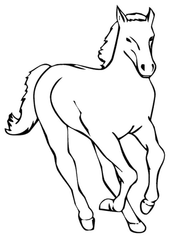 رسومات تلوين حصان1