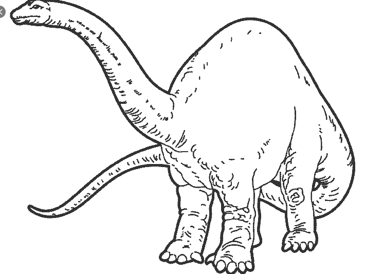 رسومات تلوين ديناصورات2