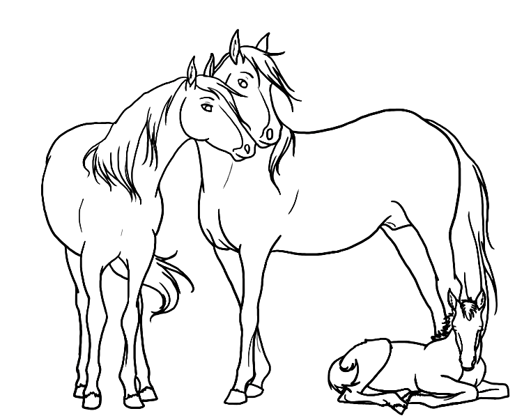 رسومات تلوين حصان4
