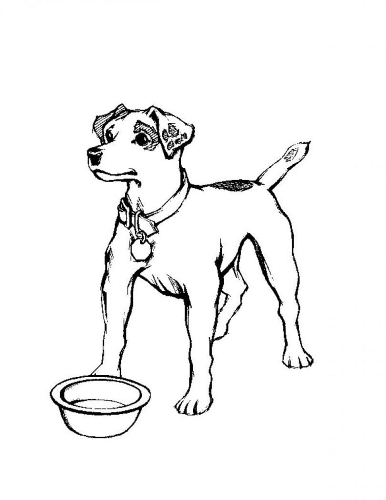 رسومات للتلوين كلاب4