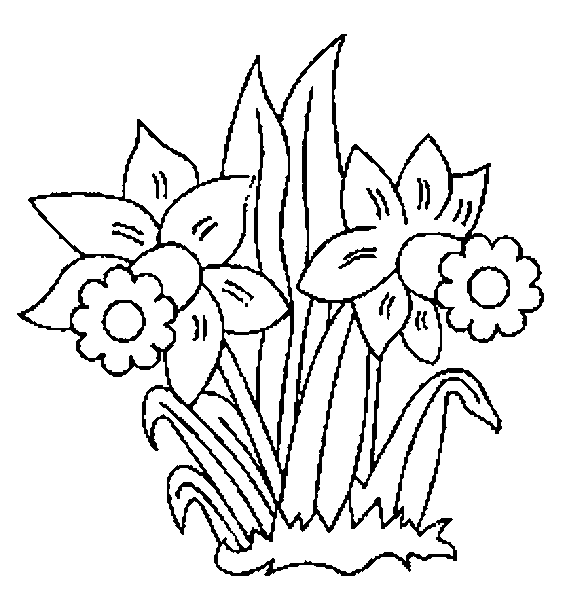رسومات تلوين زهور4