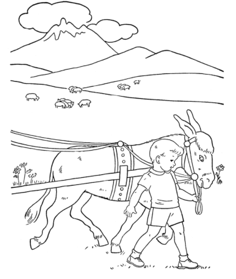 رسومات للاطفال عن الرفق بالحيوان 6