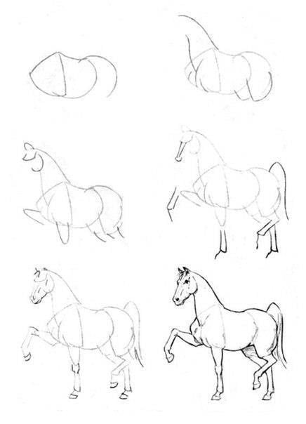 رسومات حصان 1