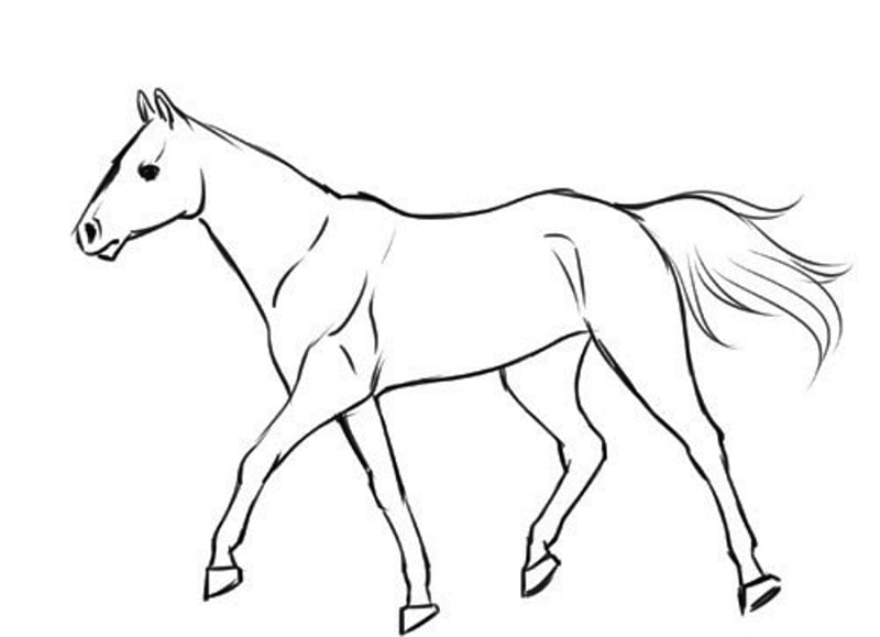 رسومات حصان 3