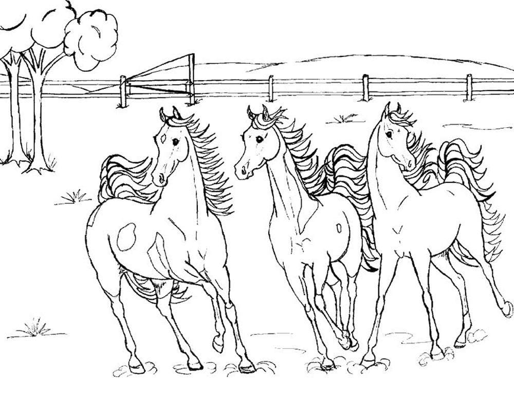 رسومات تلوين خيول2