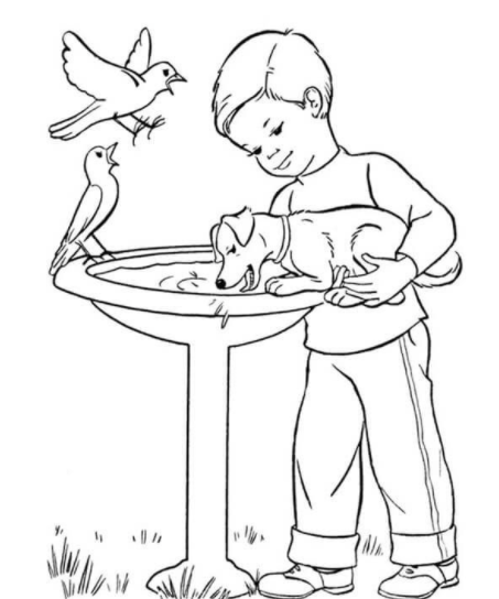 رسومات للاطفال عن الرفق بالحيوان 1