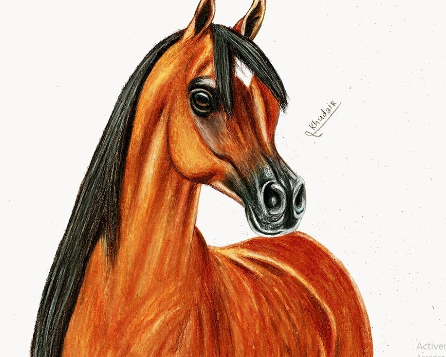رسم حصان ملون 3