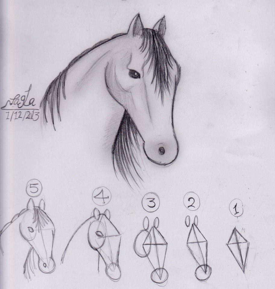 رسومات حصان 4