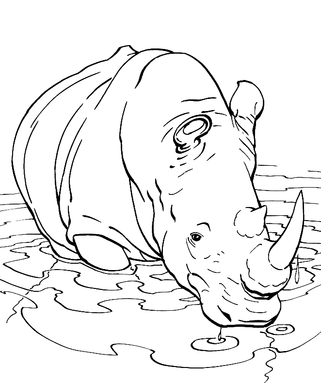 رسومات تلوين وحيد القرن1