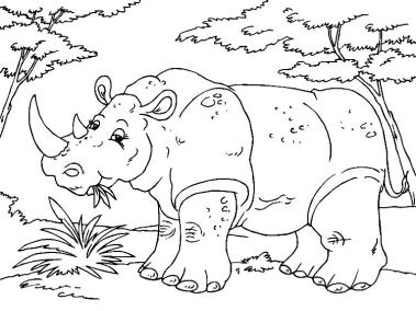 رسومات تلوين وحيد القرن2
