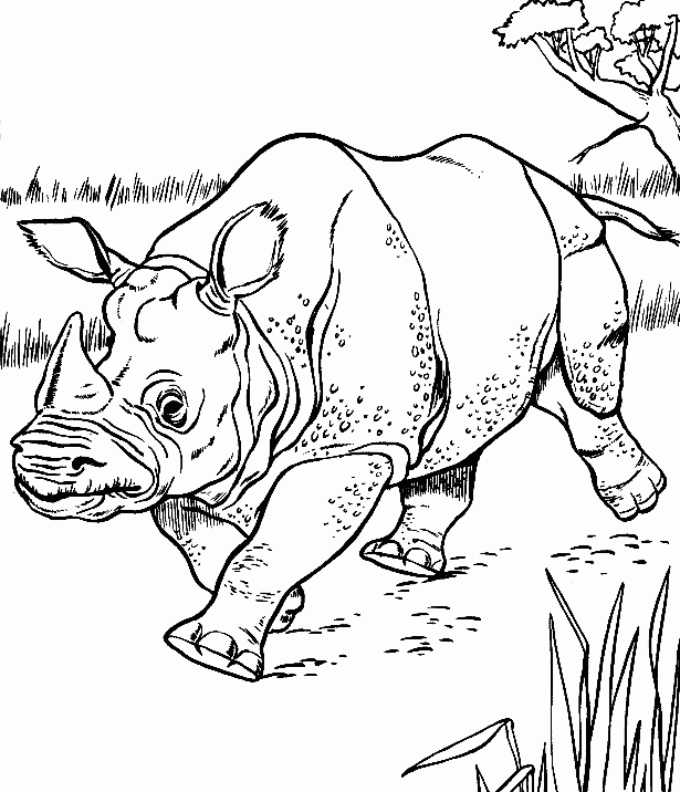 رسومات تلوين وحيد القرن