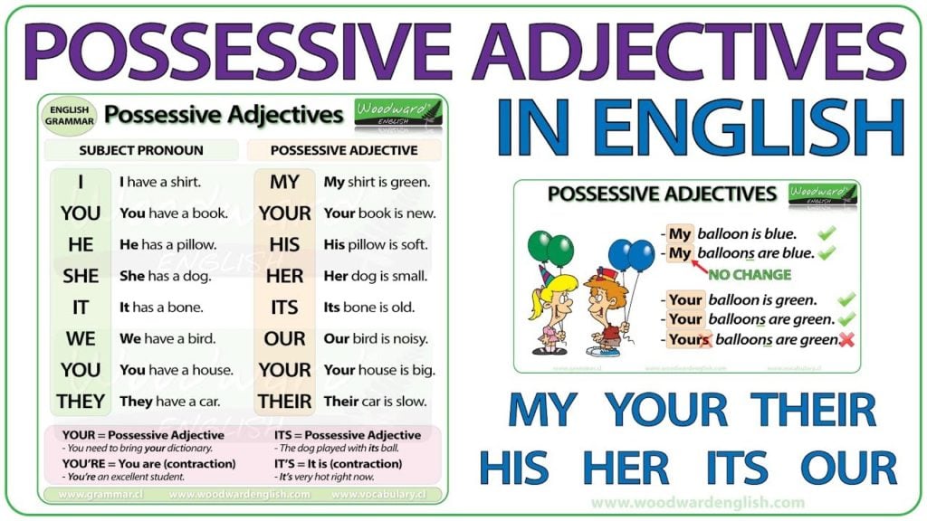 Possessive Adjectives صفات الملكية ١