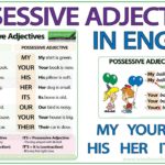 شرح possessive adjectives