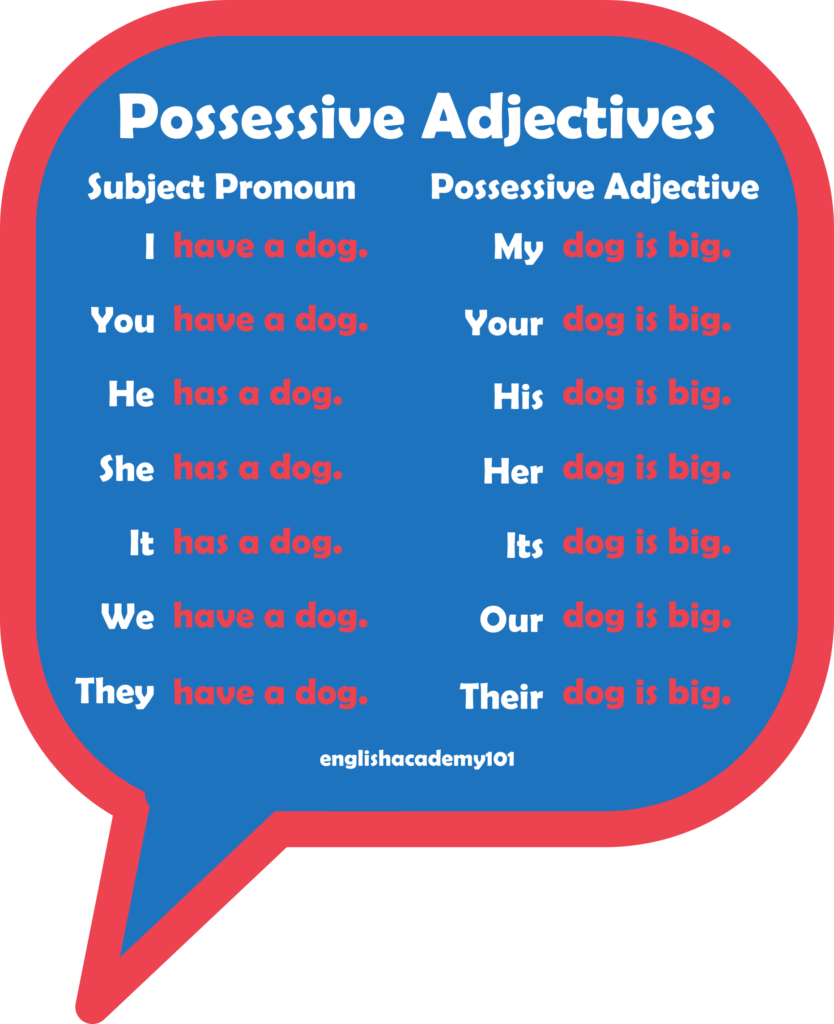 شرح possessive adjectives 