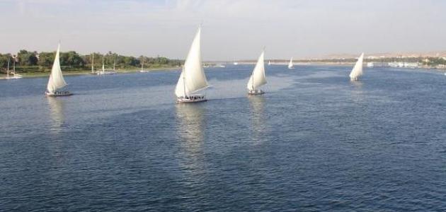  جمل عن نهر النيل 