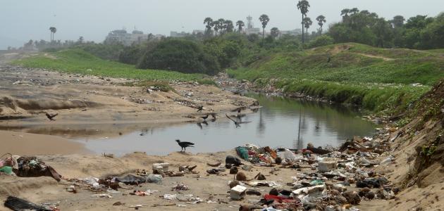  برجراف عن تلوث نهر النيل بالانجليزى 