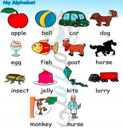 كلمات انجليزية للمبتدئين للاطفال 2