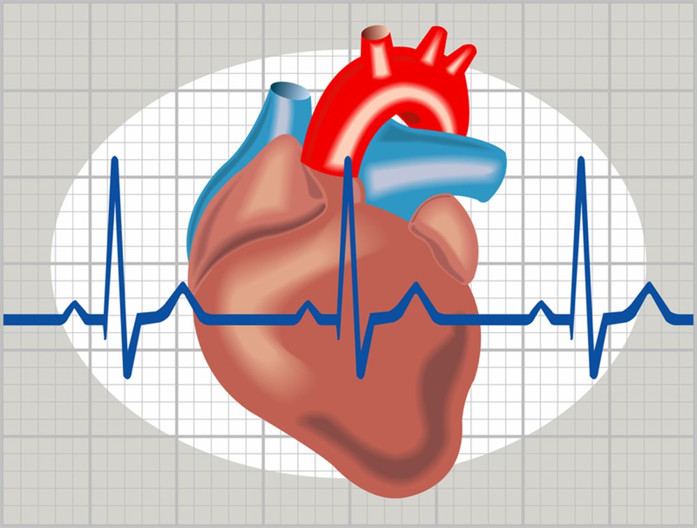 تخصص جراحة القلب في السعودية