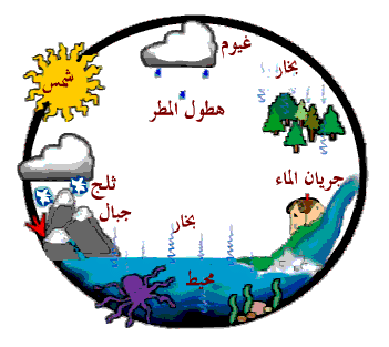دورة الماء في الطبيعة للاطفال